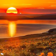 我亦向阳抖音号头像