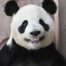 若水三千抖音达人头像