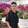 小周哥教您养好蝴蝶兰抖音达人头像