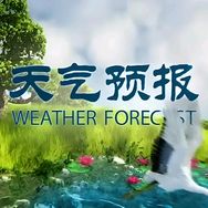 苏鲁气象抖音达人头像