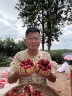 老班长果蔬抖音达人头像