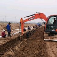 恒萱怀药【温县铁棍山药】抖音号头像