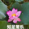 宁静的心8848抖音达人头像