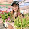 云尚花开抖音达人头像