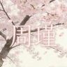 周瑾🌟抖音达人头像