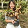 轩轩苗圃抖音达人头像