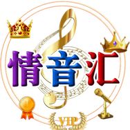 情音汇抖音达人头像