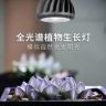 光联天下植物补光灯抖音达人头像