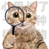 猫大王🐱🐱🐱抖音达人头像
