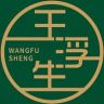 王浮生WANGFUSHENG抖音达人头像