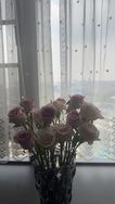 弦点百货店抖音达人头像