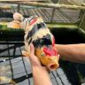 渔食坊抖音达人头像