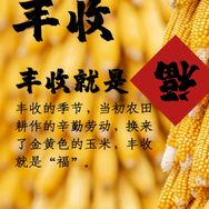 辰耀种业抖音号头像