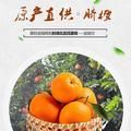 昕昊生鲜抖音达人头像