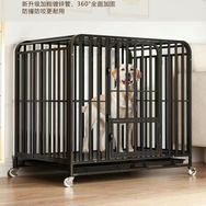 明启宠品小铺抖音达人头像