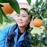 果农🍊杜姐抖音达人头像
