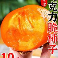 巧克力脆甜柿子抖音达人头像
