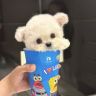 大眼睛小狗抖音达人头像