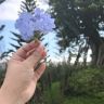 夏天☀️抖音达人头像
