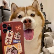 哈礼鹿呀抖音达人头像