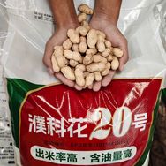 用心选好种抖音号头像