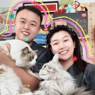 三只吃货喵喵喵🐱🐱🐱抖音达人头像