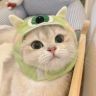 咪咪酱抖音达人头像
