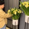 麦田花艺抖音达人头像