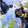 小芳卖皮包抖音达人头像