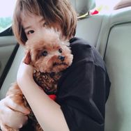 蹦迪小泰迪jojo抖音达人头像