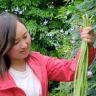 豆角女神蔬菜抖音达人头像