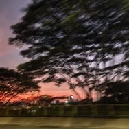 用户抖音号头像