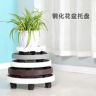 瑞宏园艺优选抖音达人头像