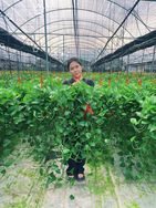 箩屿森林LuoYuforest抖音达人头像