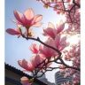 喜运森林绿植抖音达人头像