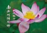 净缘和五百只毛孩子抖音达人头像