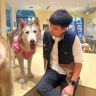 兽医小崔抖音达人头像