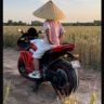 萌贝童车世家（全国招商）抖音达人头像