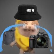 meme摄影猫抖音达人头像