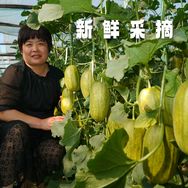 闵姐的瓜果园抖音达人头像