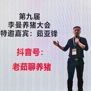 老茹养猪抖音达人头像