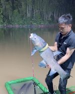 锋仔户外钓鱼抖音达人头像