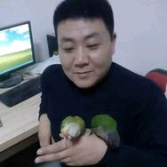 董哥鸟舍抖音达人头像