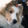 VvBoom抖音达人头像