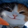 猫meme电影院抖音达人头像