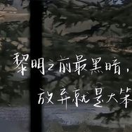 枫叶🍁抖音达人头像