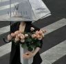海燕的花海2抖音达人头像
