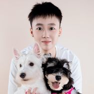 六六是只西高地抖音达人头像