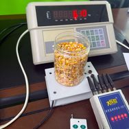 玉米新品种抖音号头像