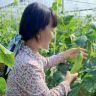 新荣村莉莉姐抖音达人头像